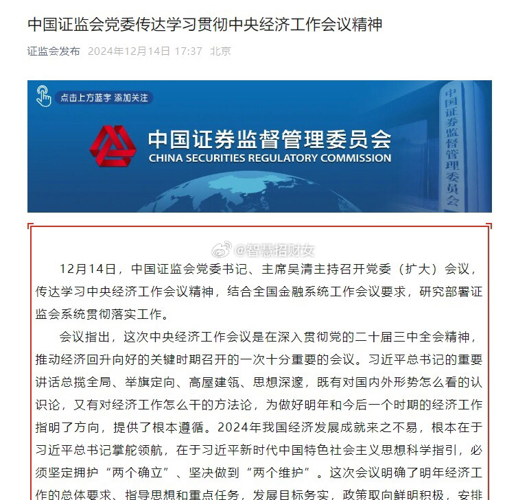 證監(jiān)會(huì)角色與行動(dòng)，維護(hù)資本市場(chǎng)穩(wěn)定的前沿戰(zhàn)斗