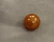 女子意外發(fā)現(xiàn)百萬價值龍珠，一次洗菜經(jīng)歷改寫命運篇章