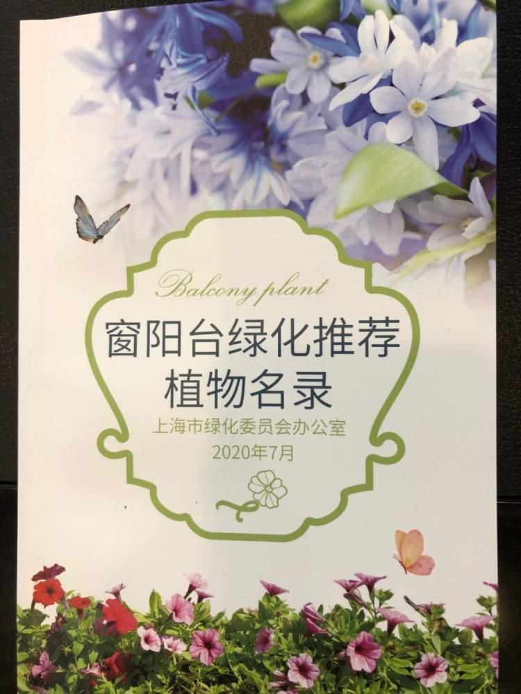 陽臺綠化，打造家庭清新小天地