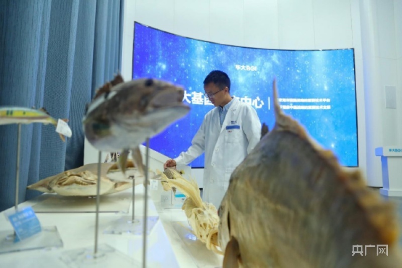 海洋生物基因庫(kù)建設(shè)加速，保護(hù)瀕危物種取得顯著成效