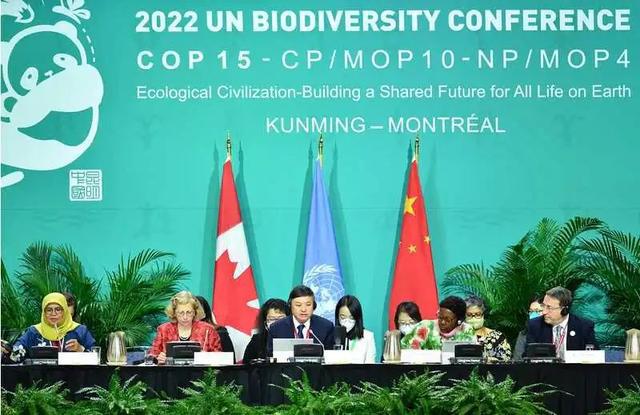 全球生物多樣性保護(hù)會(huì)議達(dá)成新共識(shí)，攜手守護(hù)地球生命網(wǎng)絡(luò)