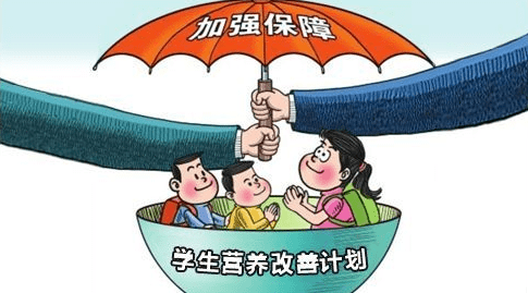 學(xué)校營養(yǎng)午餐計(jì)劃成效顯著，學(xué)生健康狀況顯著改善