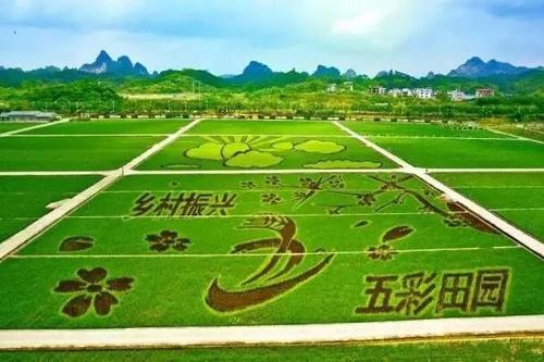 鄉(xiāng)村田園綜合體建設加速，生態(tài)農(nóng)業(yè)與旅游融合，打造新時代田園詩意棲居地