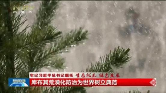 無人機(jī)植樹計(jì)劃啟動(dòng)，荒漠化治理邁入新篇章