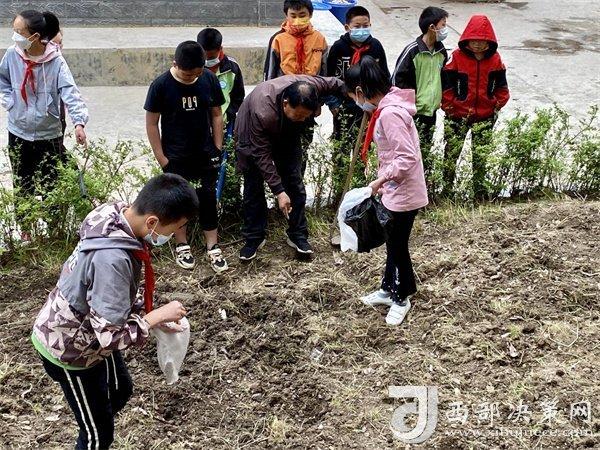 校園農(nóng)田教育項(xiàng)目推動(dòng)下的學(xué)生環(huán)保意識(shí)顯著提升