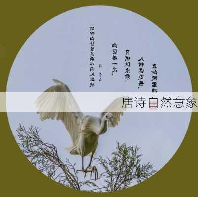 古代詩(shī)詞中的自然意象與哲學(xué)思想探析