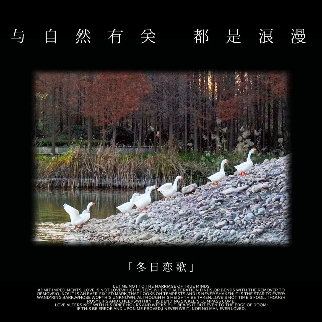 自然與人文的交融，藝術(shù)中的和諧共處與表現(xiàn)