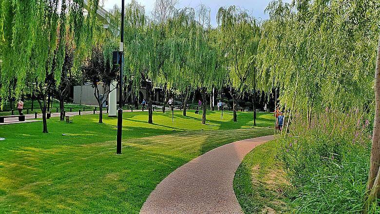 城市公園，生態(tài)與人文的融合，自然與文化的和諧交響
