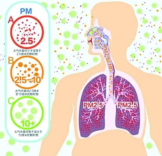 空氣質量與呼吸系統(tǒng)，密切關聯(lián)下的健康影響探討