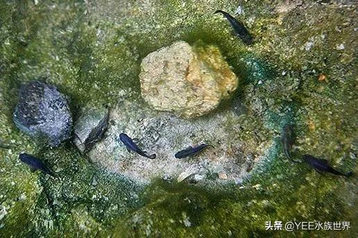 高溫天氣下的身體適應(yīng)方法與應(yīng)對(duì)技巧