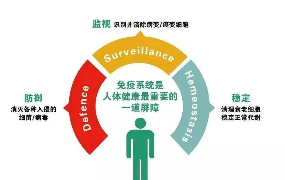 自然食品，守護免疫健康的守護者