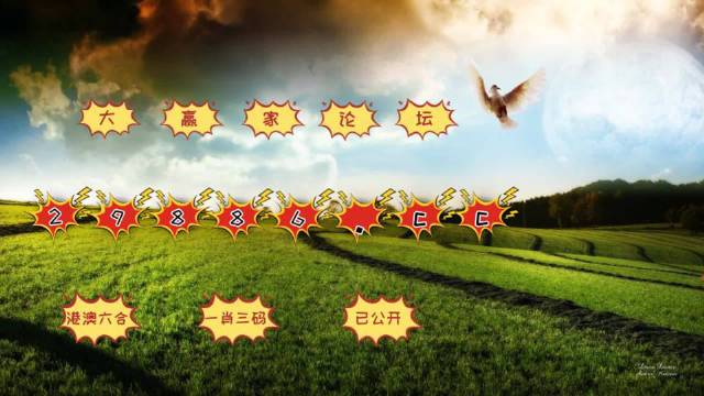 精工細作 第136頁