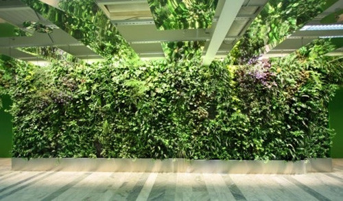 室內(nèi)垂直綠化空間的打造，植被框架方法探究