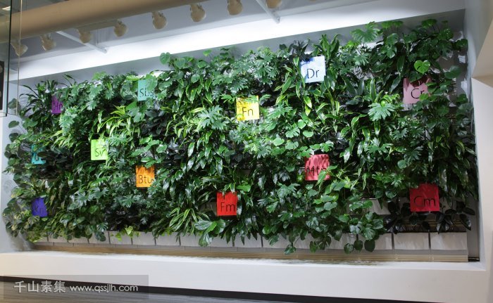 墻面植物種植系統(tǒng)，室內(nèi)綠化的生態(tài)應(yīng)用