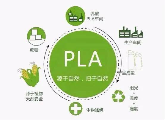 唯有時(shí)光 第8頁(yè)