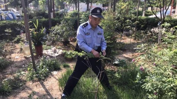 無人機在農業(yè)中應用，提升種植效率與精準度的關鍵策略