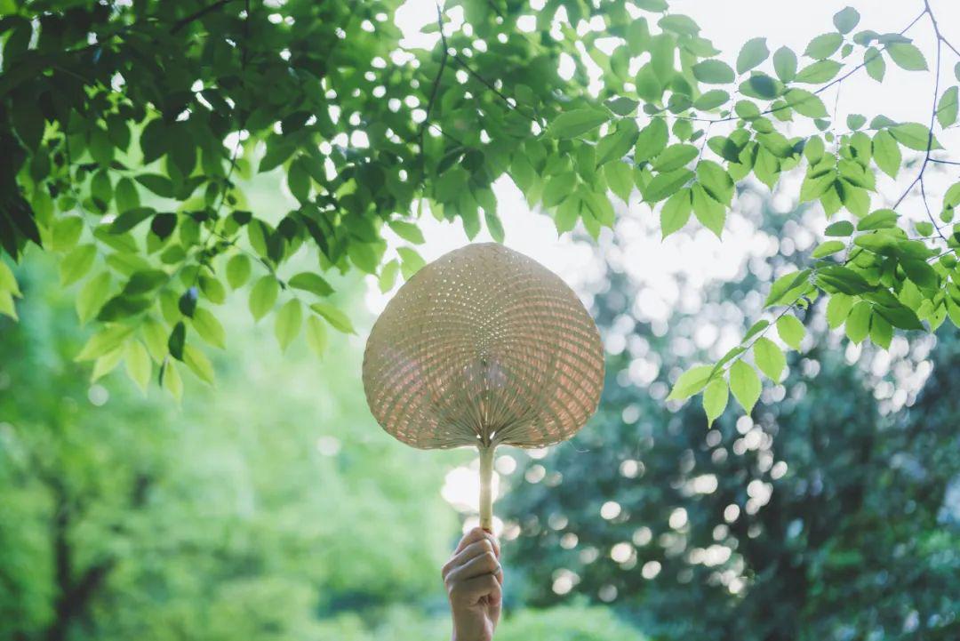 熱浪后的清涼之風(fēng)，愜意瞬間來臨