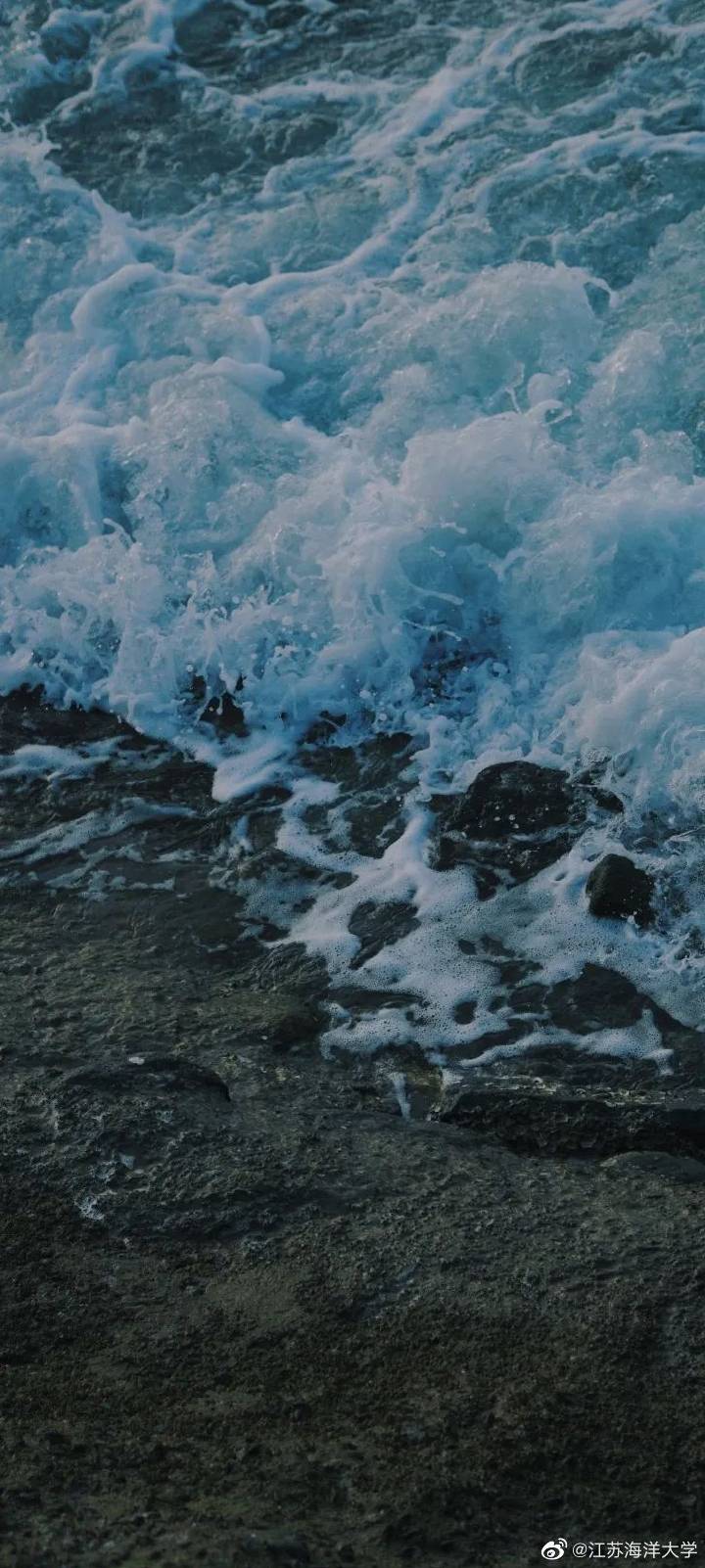 海風(fēng)吹拂，深海魅力的獨特氣息