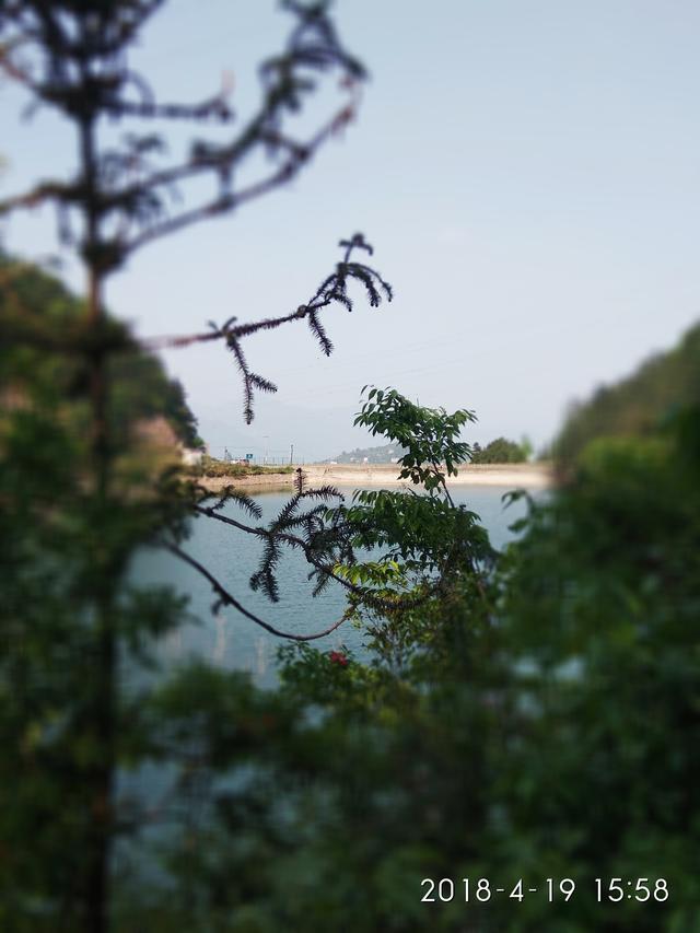 青山綠水間的自然樂章，鳥鳴回蕩耳畔