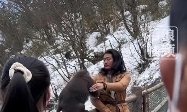 官方回應人猴對峙事件，和諧共處需共同努力