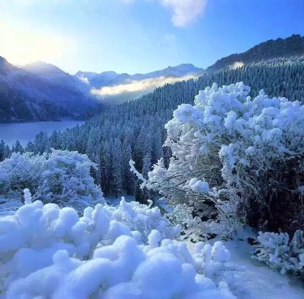 遠山雪輝，陽光下的絢麗畫卷