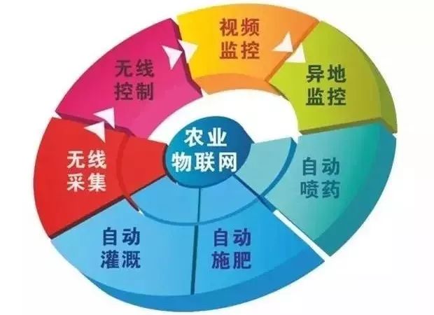 物聯(lián)網(wǎng)技術(shù)助力農(nóng)業(yè)生產(chǎn)精準化管理變革