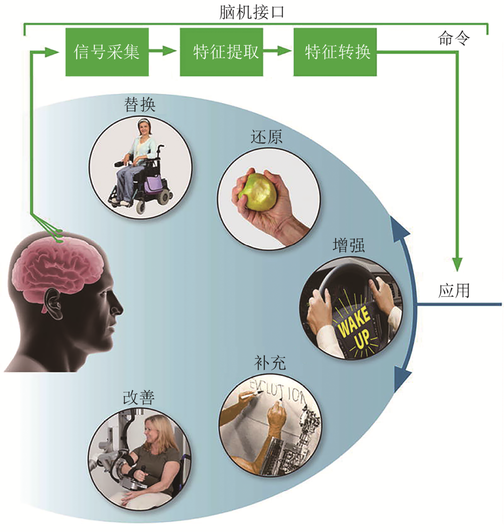 腦機(jī)接口技術(shù)，突破生理界限的新紀(jì)元