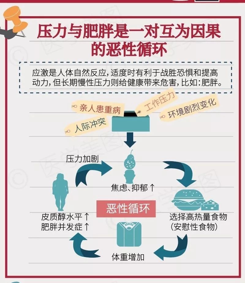 管理情緒與體重控制的緊密關(guān)聯(lián)，情緒管理對防止體重增加的重要性
