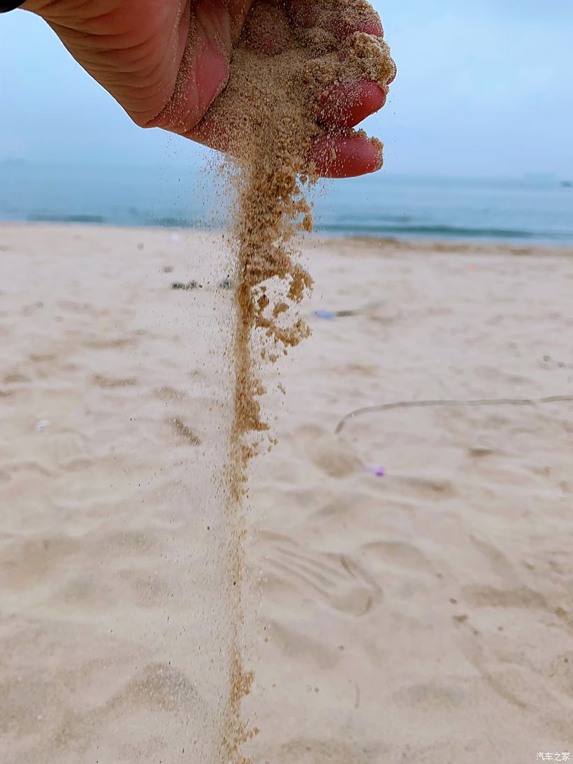 沙灘上的自由之旅，細沙下的足跡
