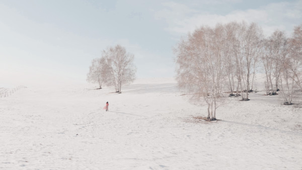 冰雪森林之旅，追尋自然的腳步