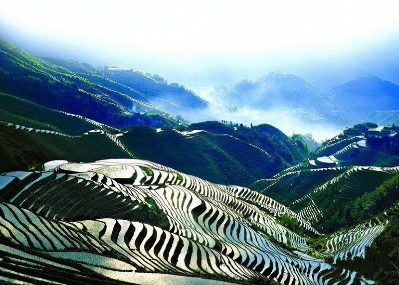 追尋梯田之美，領(lǐng)略農(nóng)業(yè)智慧的力量