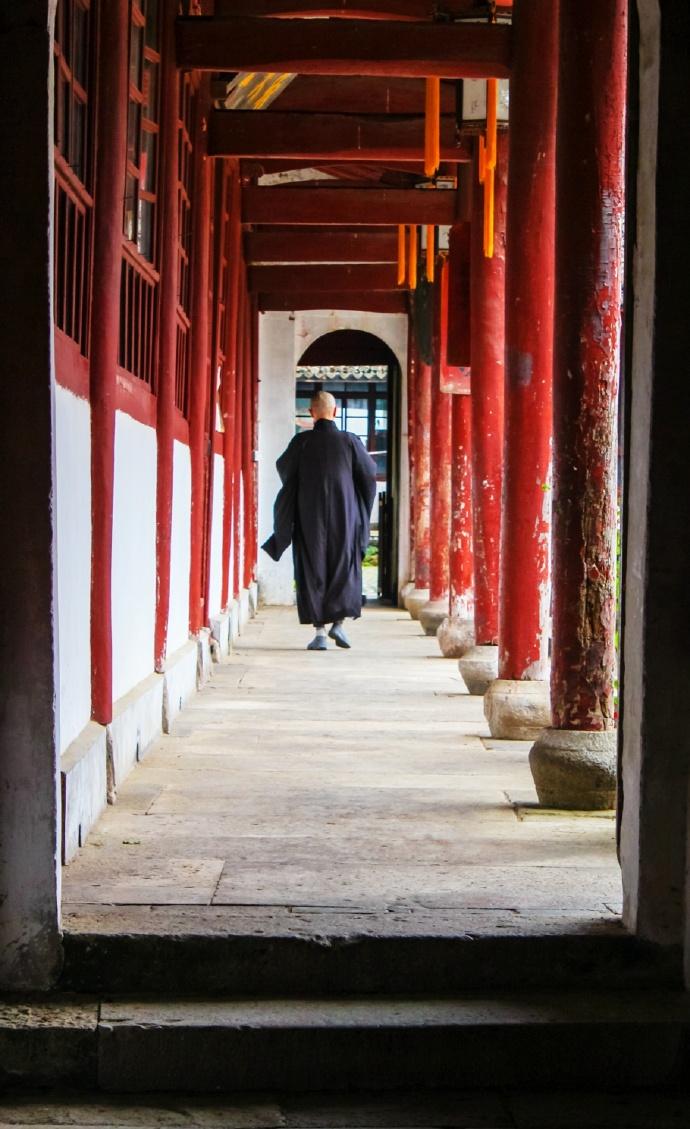 千年古樹(shù)下的寧?kù)o時(shí)光