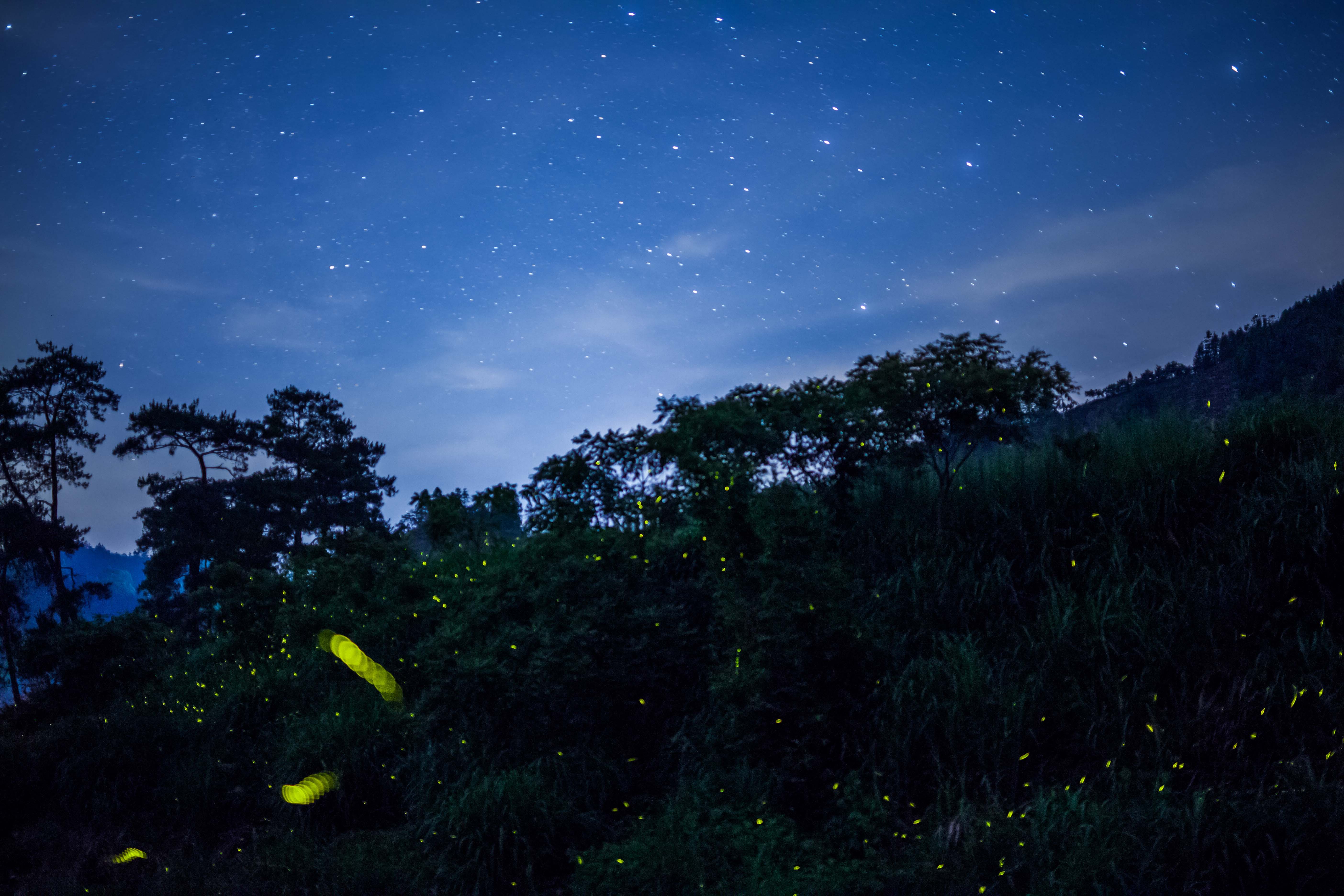 夜晚涼風，遠方山林的靜謐與涼意