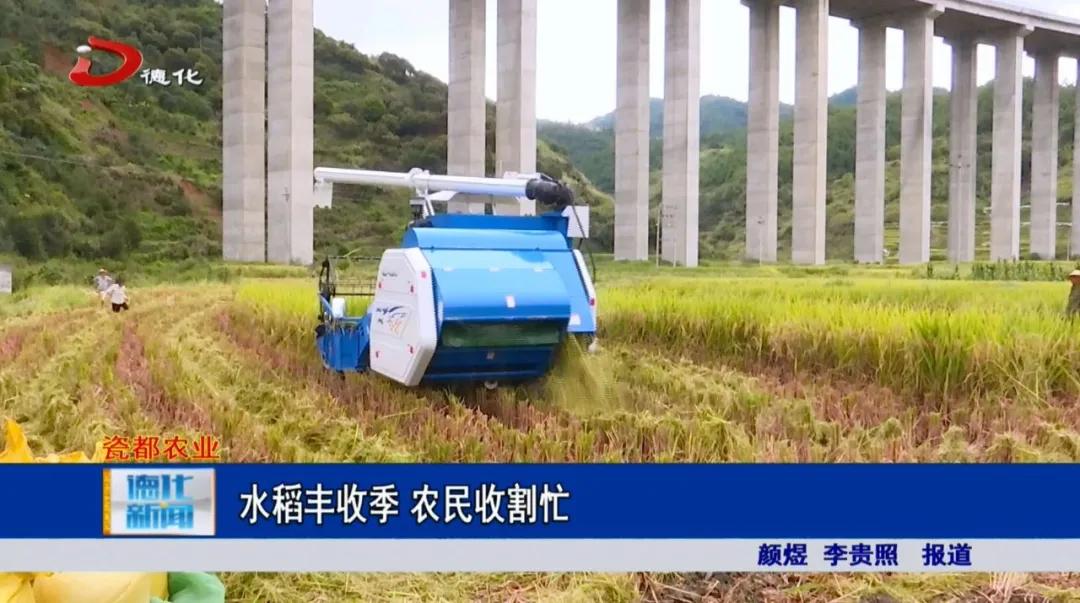 田野中的溫暖旋律，陽光下農(nóng)民的身影與希望