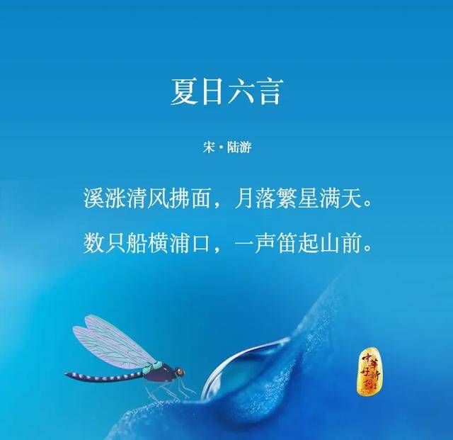 夏季雨水的清涼與生機(jī)之歌