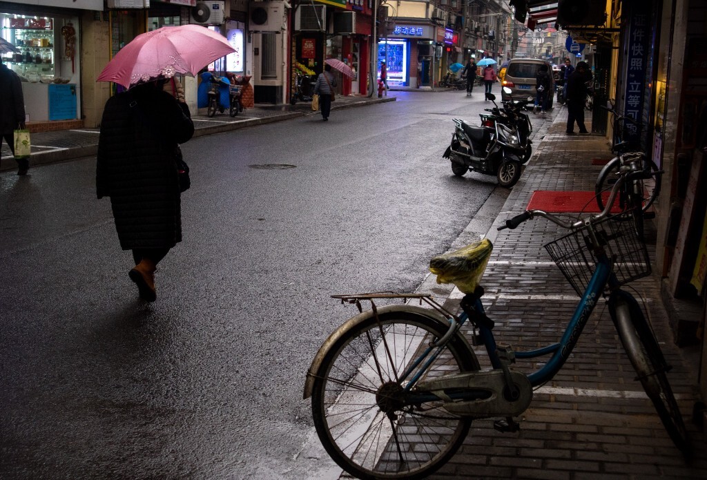 雨幕下的寧靜街道，新鮮氣息彌漫的祥和景象