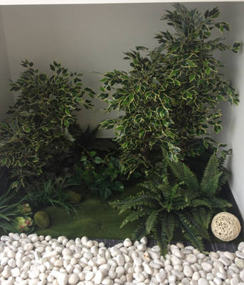 木本植物美學(xué)與生態(tài)藝術(shù)的融合之道