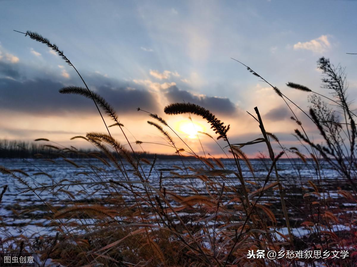 木本植物與濕地生態(tài)恢復(fù)的緊密關(guān)聯(lián)，相互依存關(guān)系探討