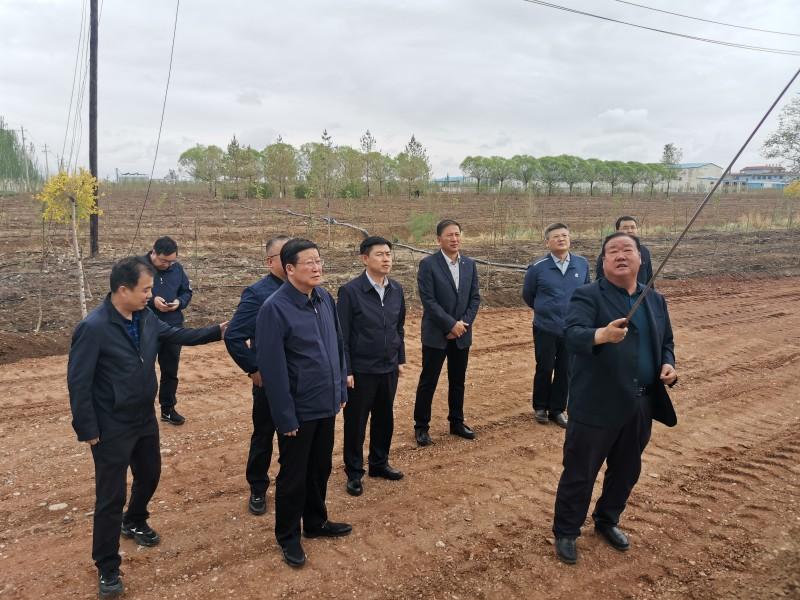 環(huán)保材料對城市綠化設(shè)計(jì)的影響及意義探討