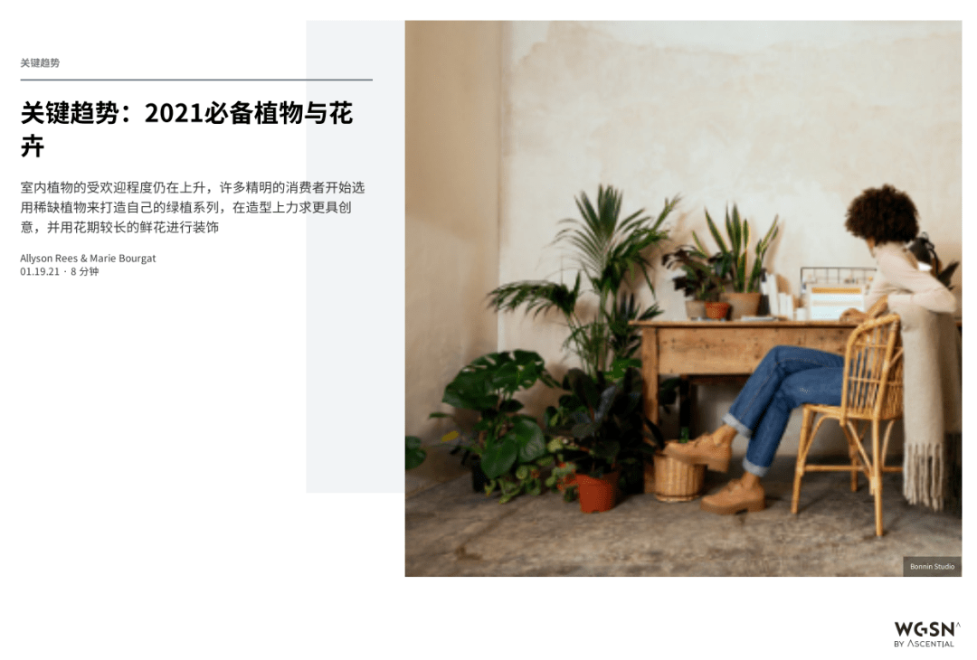 創(chuàng)意家居設計，自然靈感與綠色元素融合之美