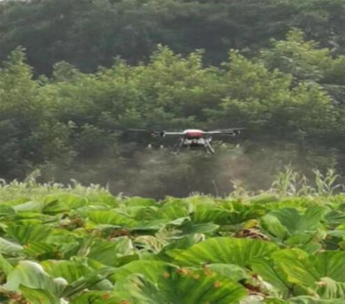無(wú)人機(jī)助力災(zāi)后恢復(fù)與重建速度提升