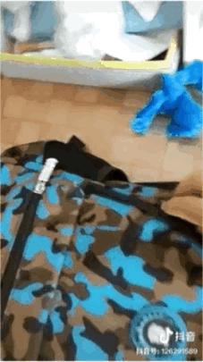 男子駕車沖撞小學(xué)生獲死緩，法律公正引發(fā)社會反思