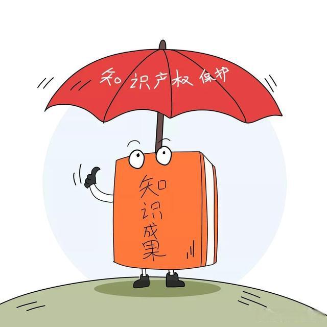 知識產(chǎn)權(quán)保護(hù)與創(chuàng)新的平衡，探索與實踐之路