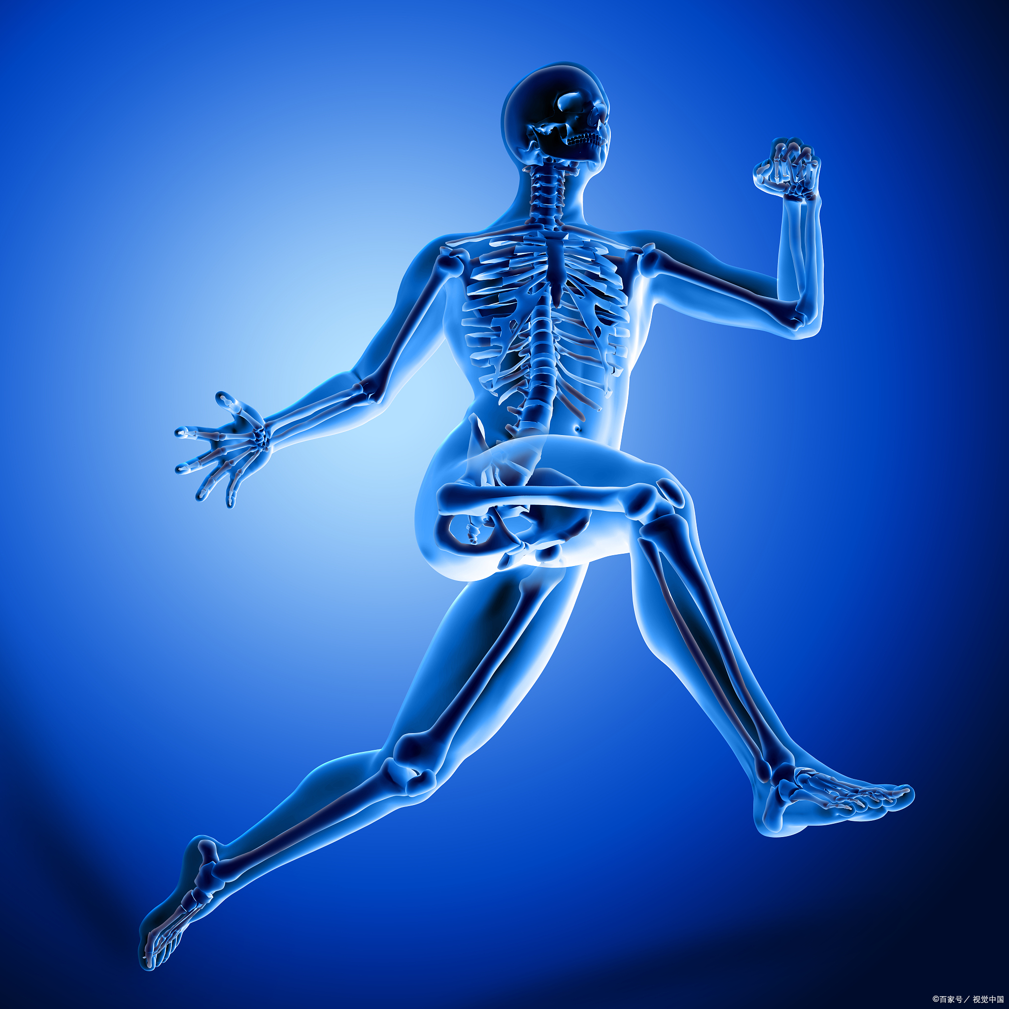 運動對骨骼健康的科學益處研究