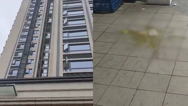 上海小區(qū)高空拋大便事件，探究背后的原因及解決方案