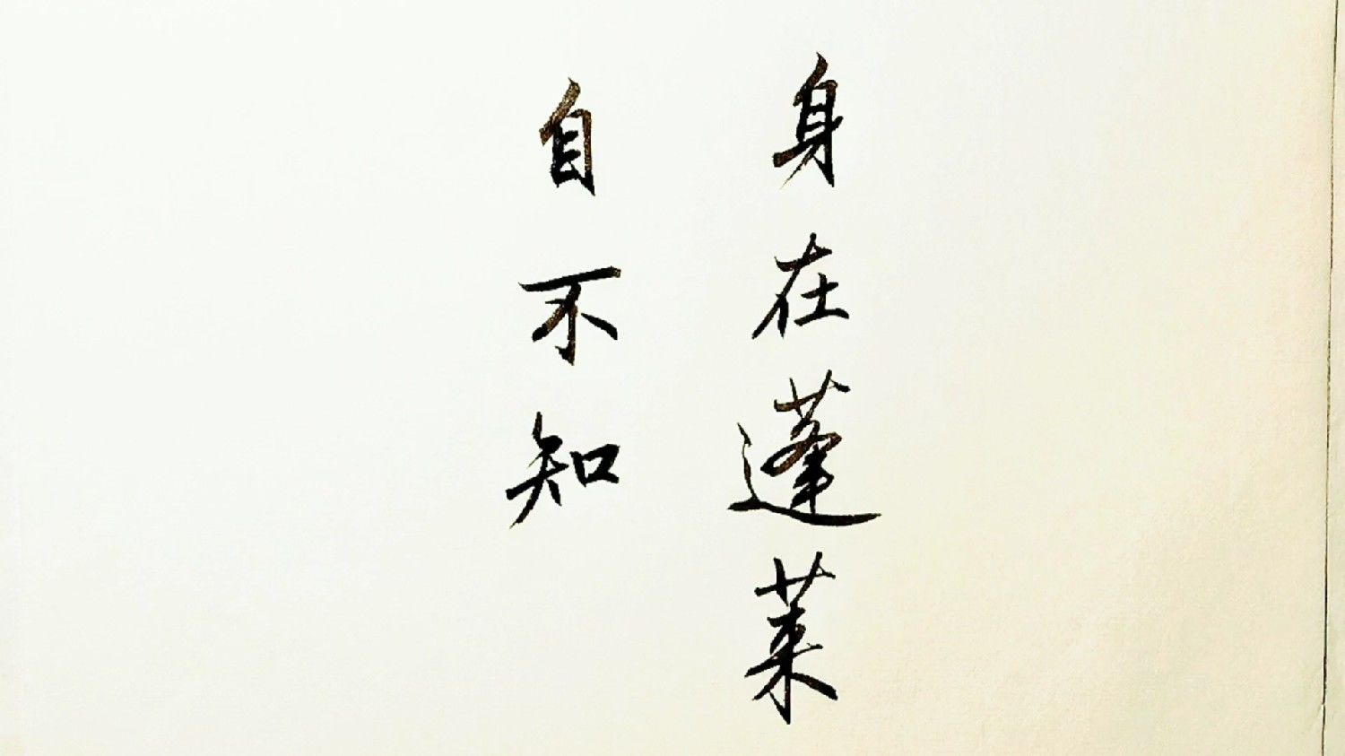 書法藝術(shù)中的情感傳達與美學(xué)展現(xiàn)