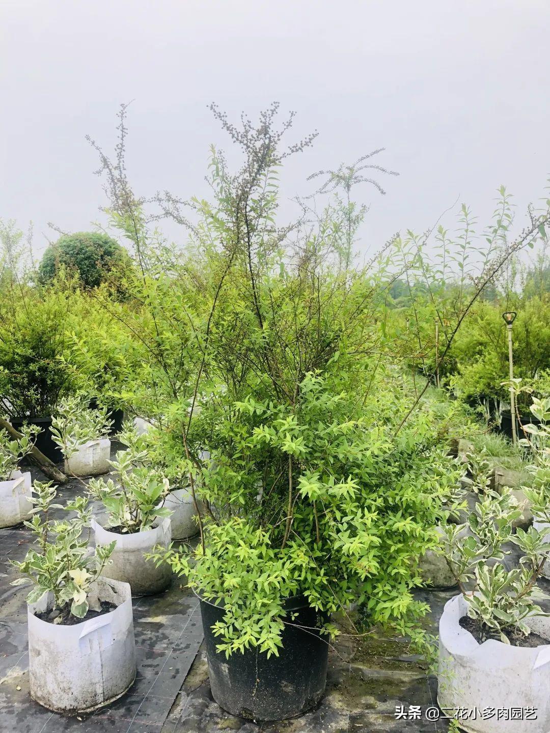自然景觀中的藝術(shù)之美與文化認知探索