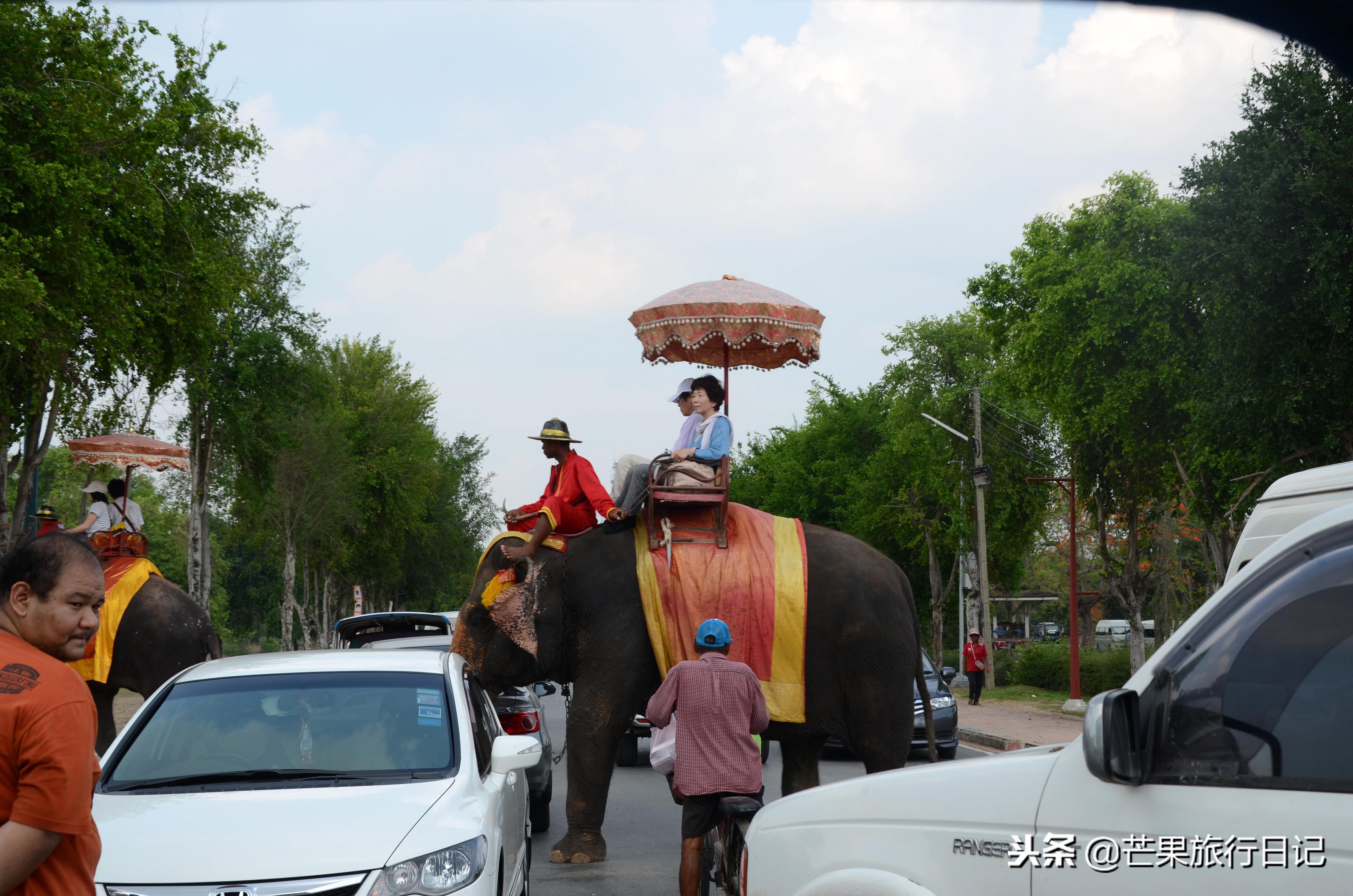 探訪全球獨特水上市場，領略異域風情之旅