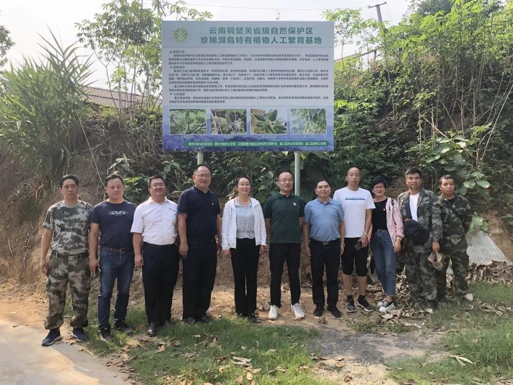 探訪全球最古老植物園，自然奇跡之旅揭秘