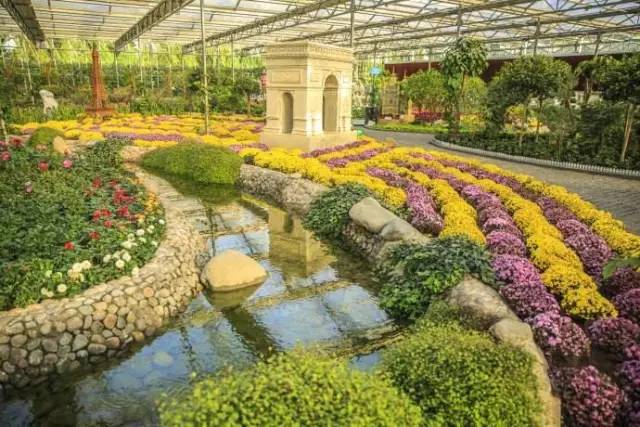 世界著名植物園之旅，多彩花卉的盛宴